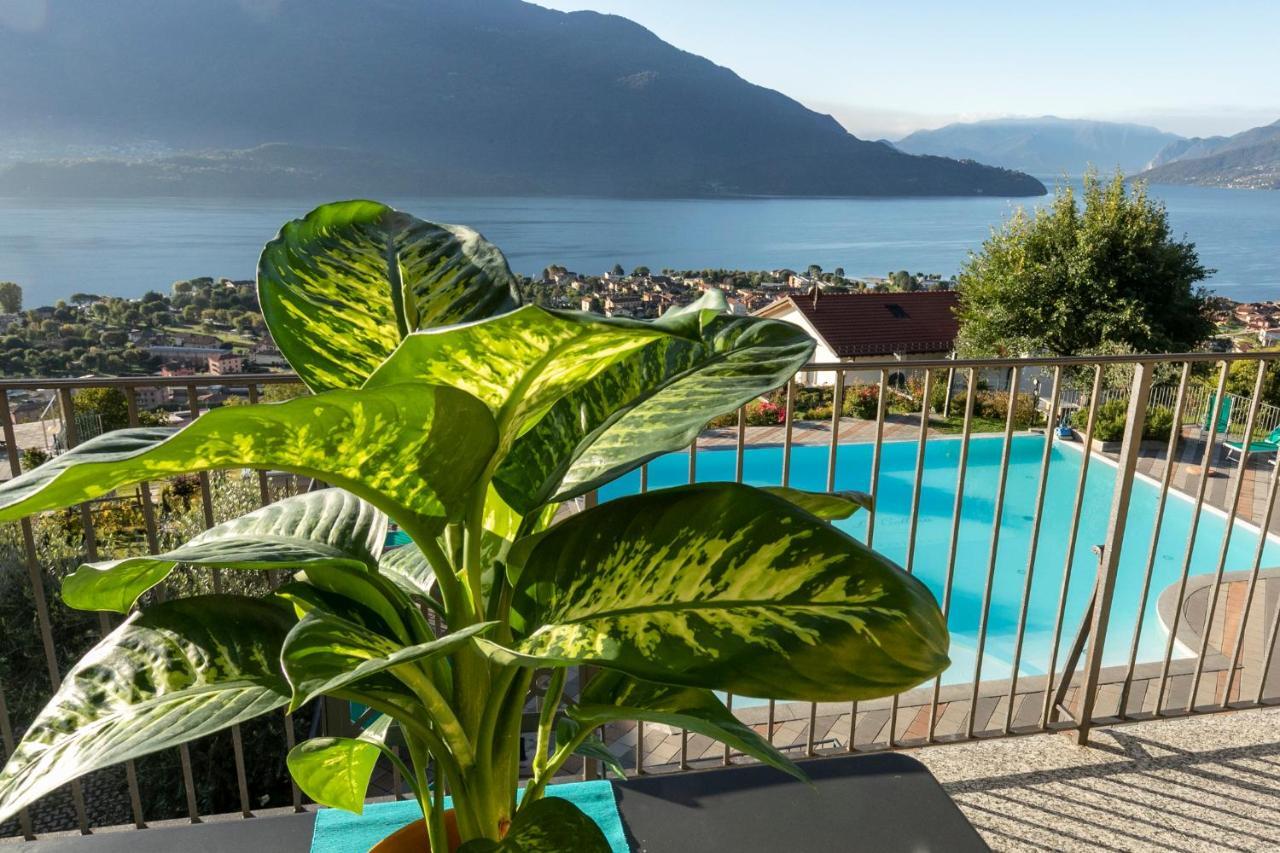 La Collina Degli Ulivi Apartamento Vercana Exterior foto